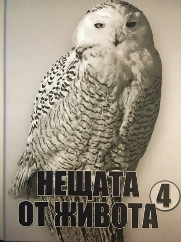 Нещата от живота. Книга 4