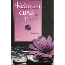 Чудодейната сила на минералите, хранителните съставки и елементите
